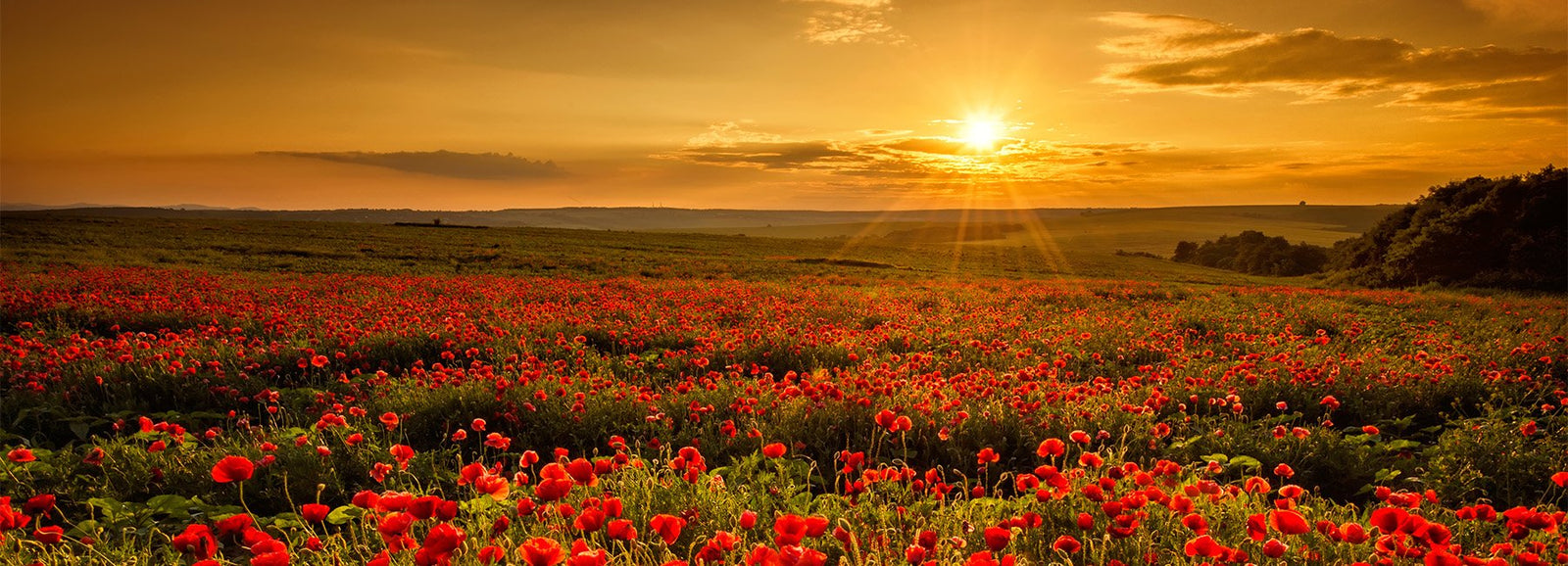 Sunrise and Sundown