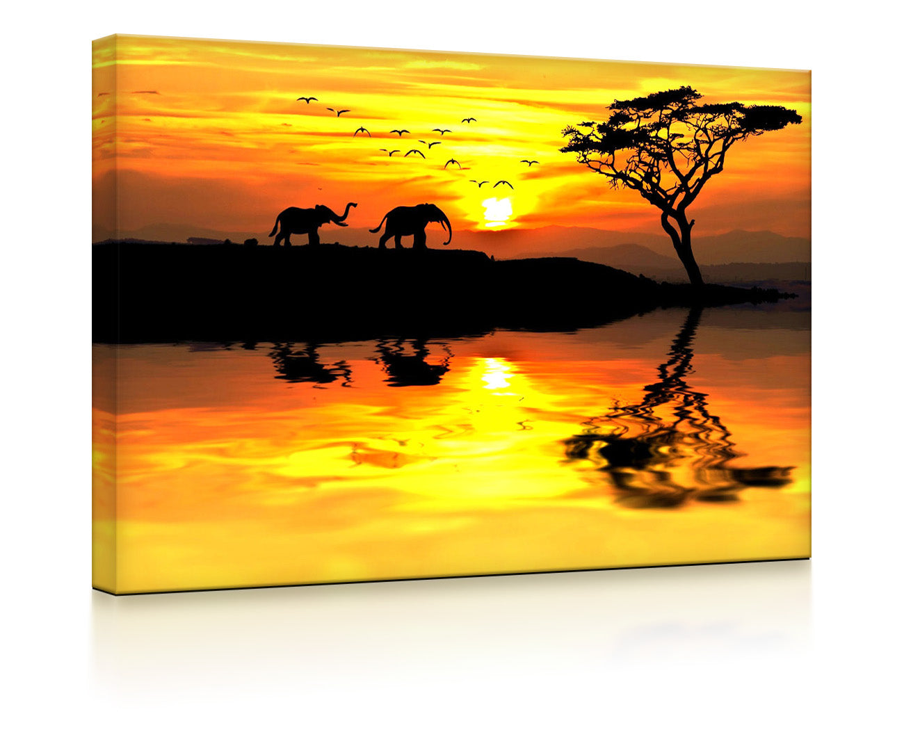 Elefanten in afrikanischer Steppe als leuchtbild