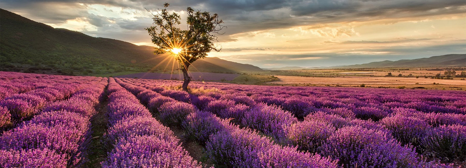 Traumhafte Landschaften