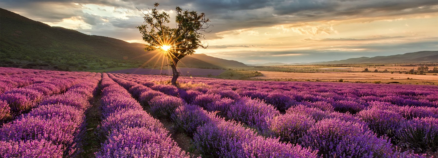 Traumhafte Landschaften