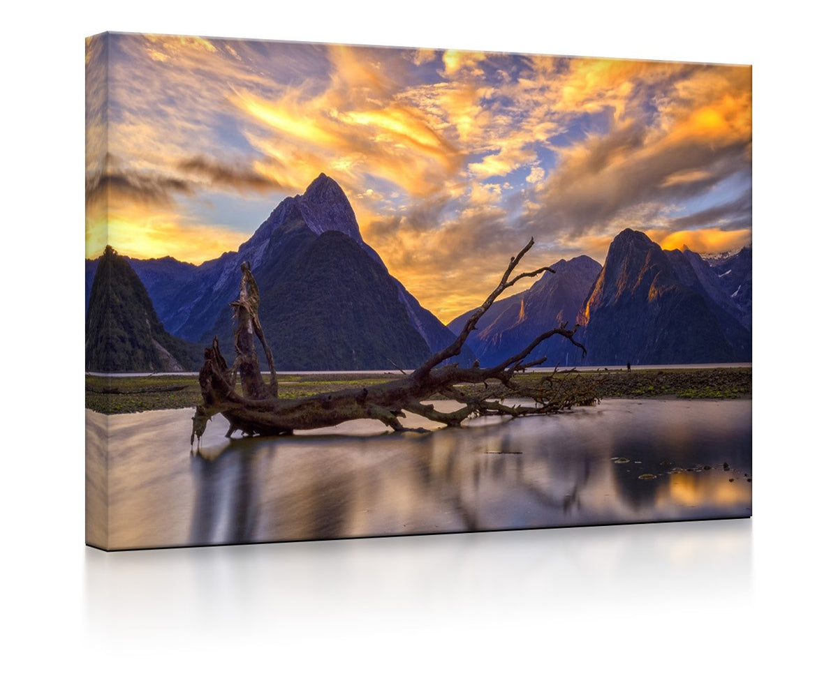 Entwurzelter Baum in wunderschöner Berglandschaft