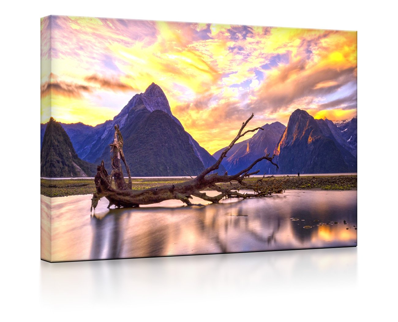 Entwurzelter Baum in wunderschöner Berglandschaft