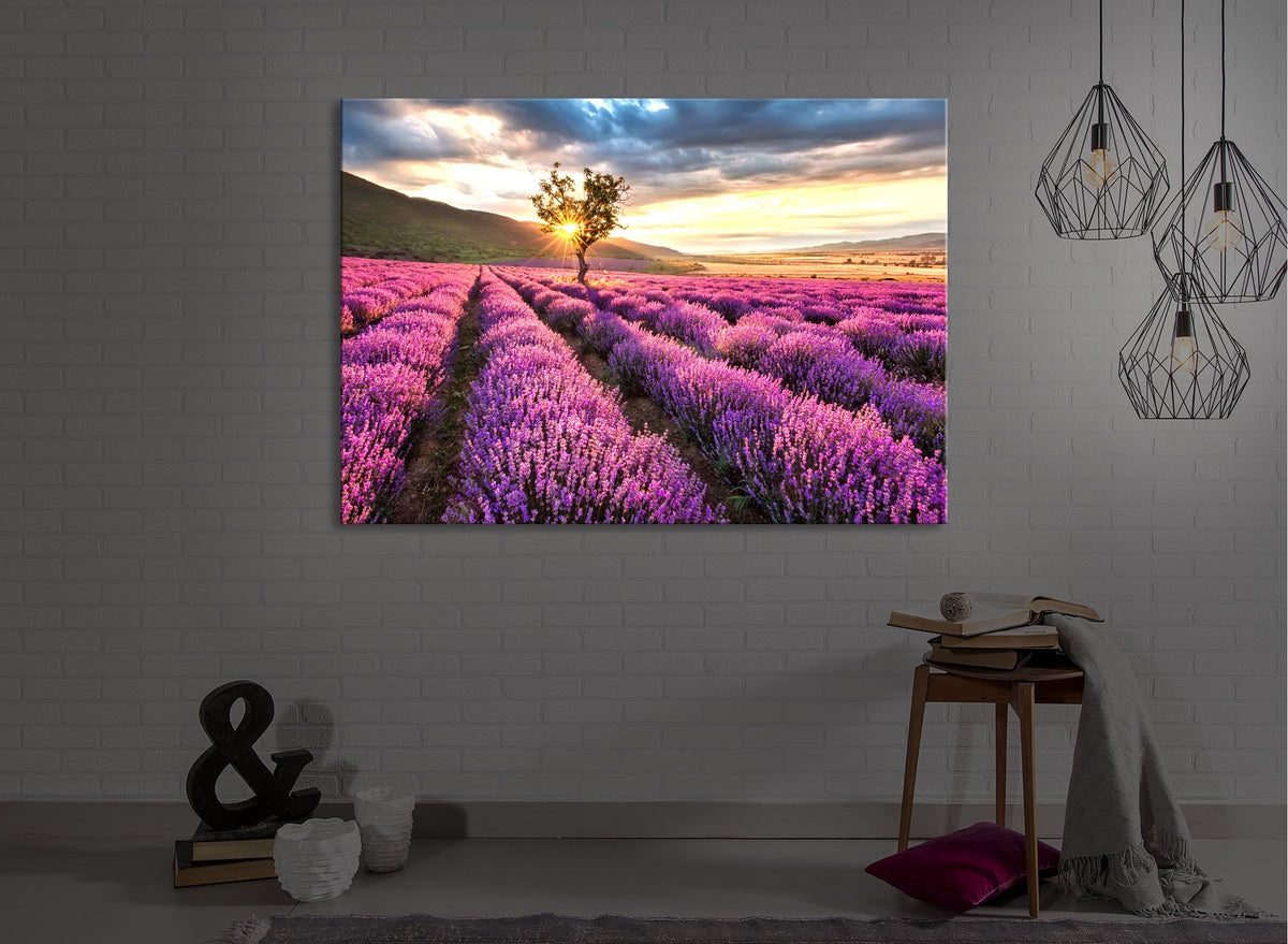 Provence mit einsamen Baum