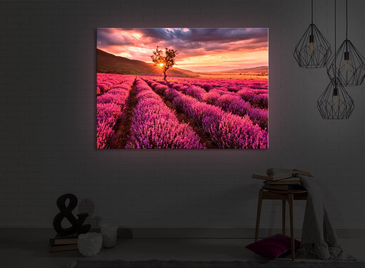 Provence mit einsamen Baum