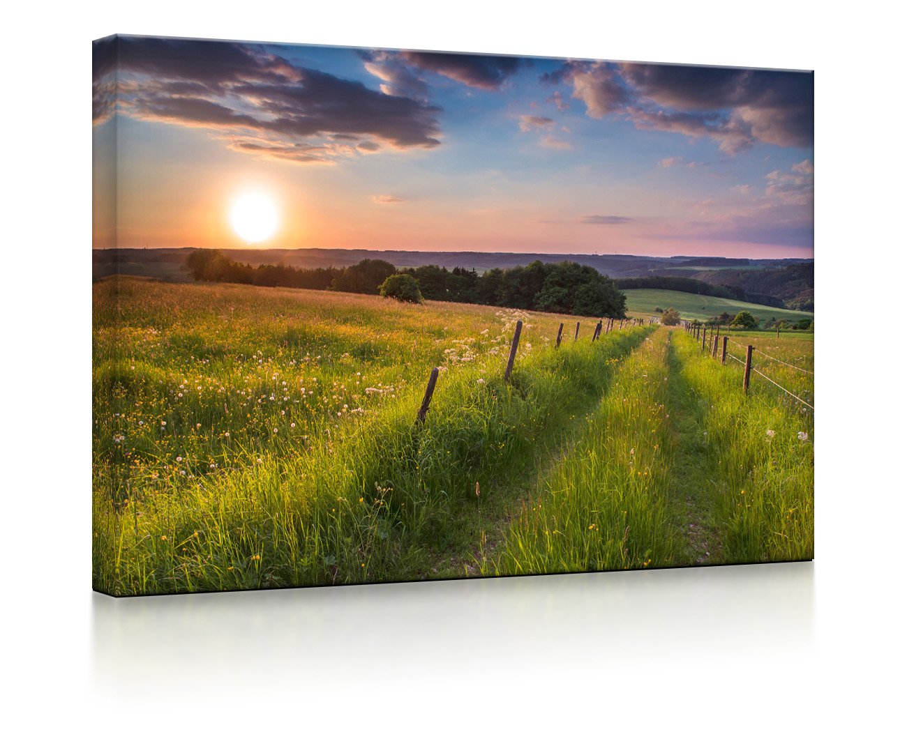 Wunderschöne Bergwiese im Sonnenaufgang