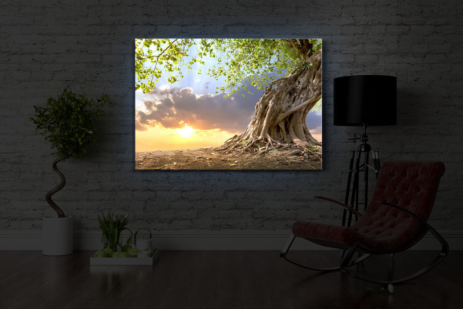 Verwurzelter starker Baum im Sonnenuntergang