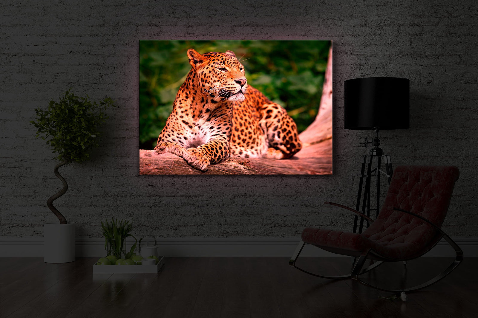 Leopard in der Natur
