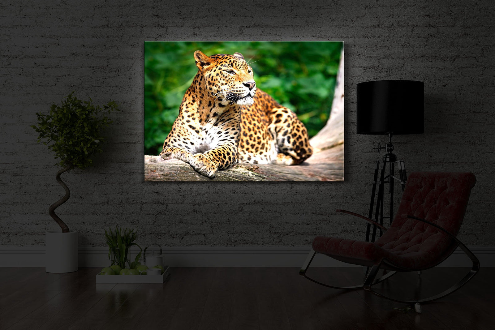 Leopard in der Natur