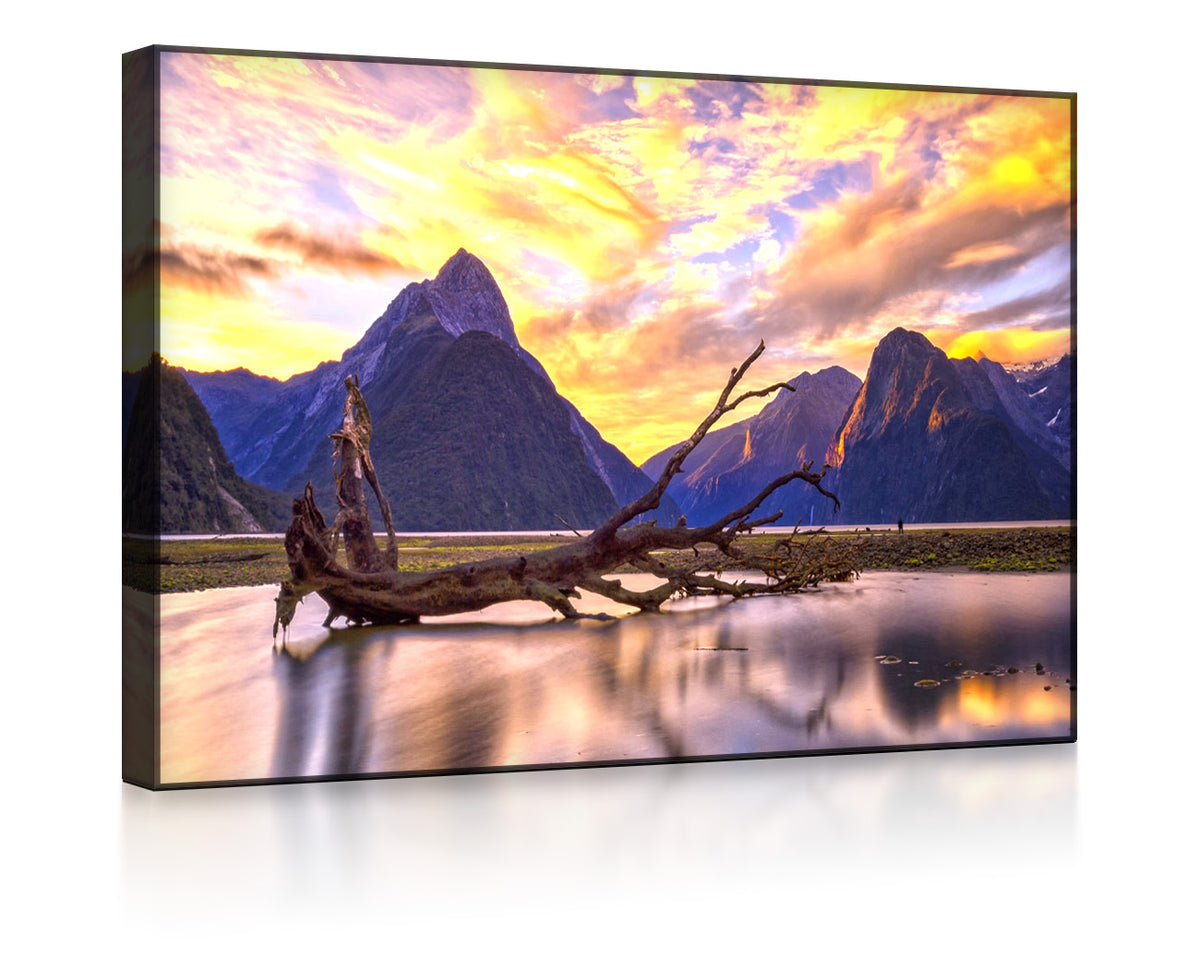 Entwurzelter Baum in wunderschöner Berglandschaft als beleuchtetes bild