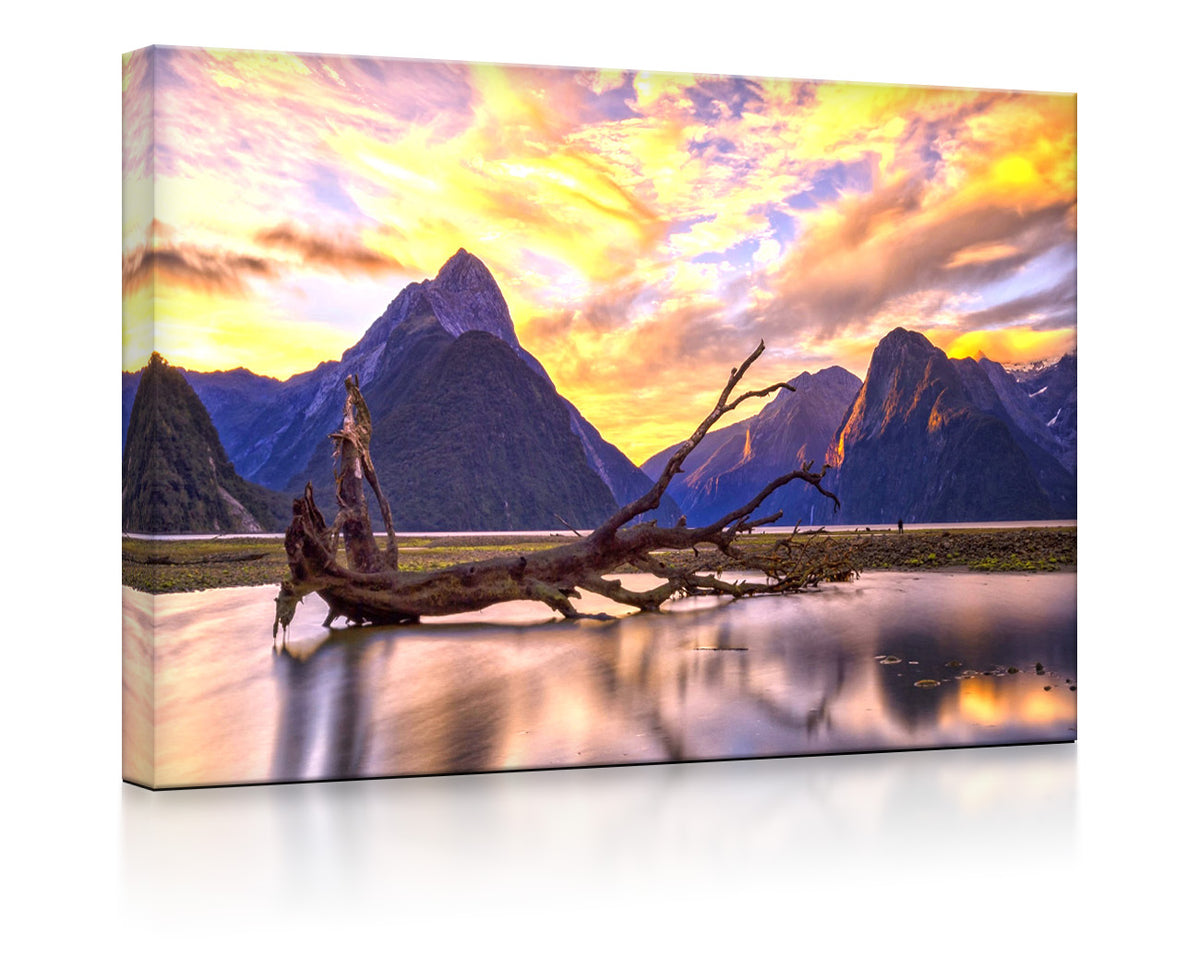 Entwurzelter Baum in wunderschöner Berglandschaft als leuchtbild