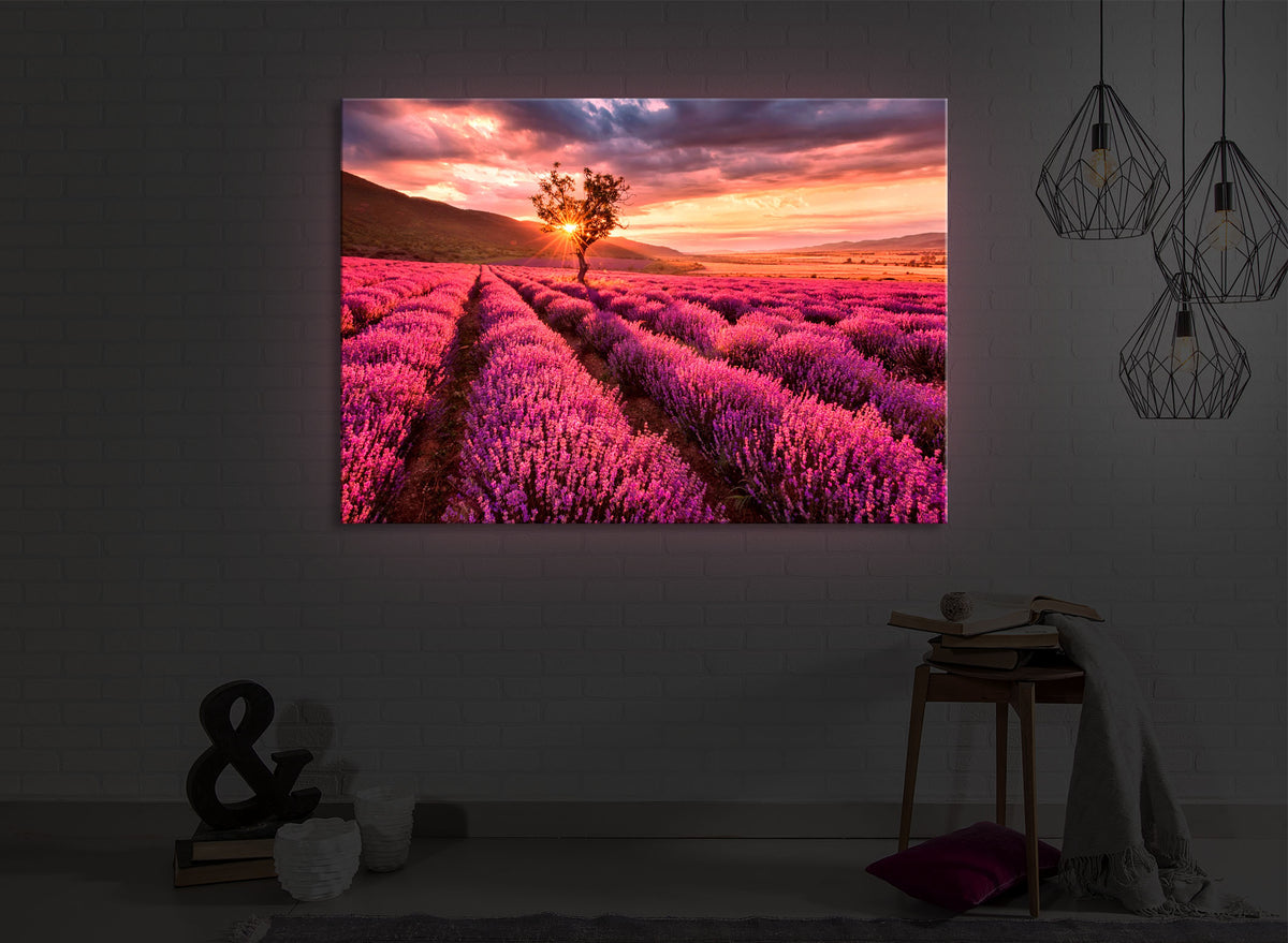 leuchtbild mit dem Motiv Provence mit einsamen Baum in einem dunklen Raum. Das Bild leuchtet rot im abgedunkelten Zimmer