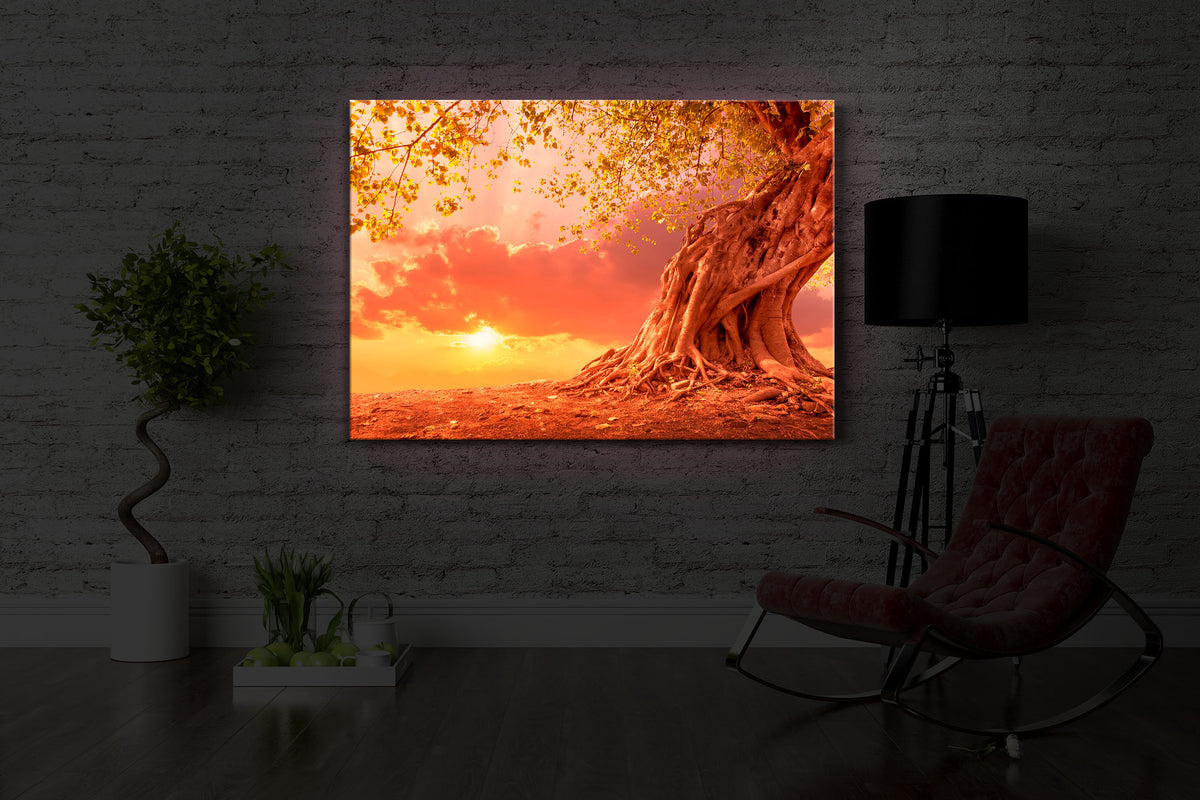 leuchtbild mit dem Motiv Verwurzelter starker Baum im Sonnenuntergang in einem dunklen Raum. Das Bild leuchtet rot im abgedunkelten Zimmer